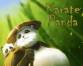 Karate Panda Demo
