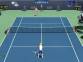 Tennis Elbow 2011 Demo