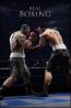 Real Boxing