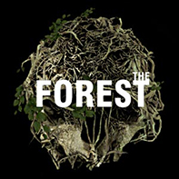 The Forest